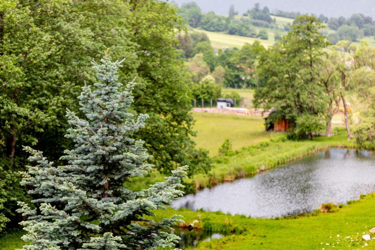 Ferienwohnung Semler Puchberg am Schneeberg Ngoại thất bức ảnh